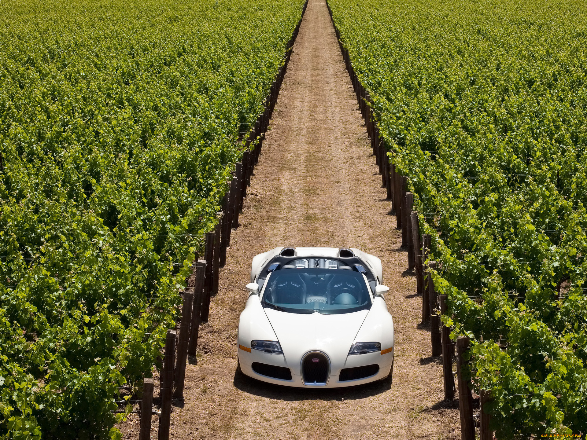 2010, bugatti, veyron, 16, grand, sport, 